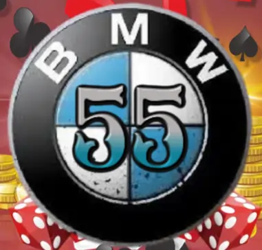 bmw55