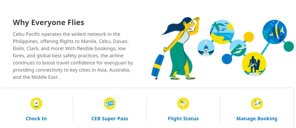 cebu pacific dashboard