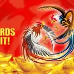 unlimited rewards on daily deposit at ldplus!